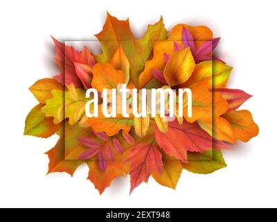 Banner autunnale. Lascia lo sfondo. Cartoncino con foglie gialle rosse arancioni realistiche. Illustrazione vettoriale bouquet autunnale. Flora autunnale, verde giallo o rosso, bouquet realistico Illustrazione Vettoriale