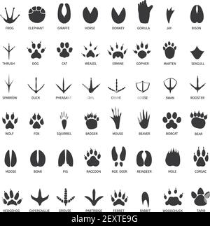 Animali impronte. L'animale zampa le stampe. Elefante e gorilla, bisonte e lupo. Gatto, cane e cervo, orso nero piedi tracce set vettoriale. Illustrazione fauna selvatica piede, zampa di stampa lupo, orso nero pista Illustrazione Vettoriale