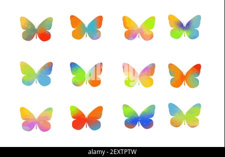 Una serie di farfalle arcobaleno multicolore. Illustrazione vettoriale Illustrazione Vettoriale