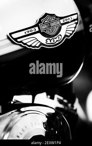 Motocicletta Harley Davidson. Bianco e nero Foto Stock