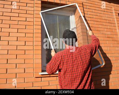 Un uomo sta installando uno schermo di zanzara, rete, schermo di insetto del pannello sulla finestra all'aperto per proteggere la sua casa da mosche, zanzare e insetti. Foto Stock