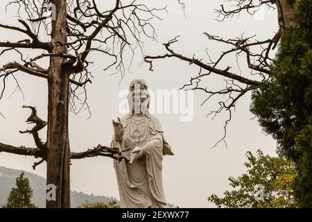 Dengfeng, Cina - 17 ottobre 2018: Statua al Monastero di Shaolin. Piattaforma Ganlu, chiamata anche piattaforma per la traduzione di sutra buddista. Foto Stock