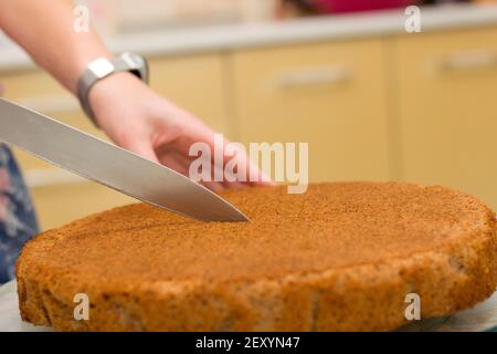 Closeup della mano femminile che tiene affilato coltello tagliando torta di cioccolato biscotto. Processo di lavorazione di cottura casalinga. Foto Stock
