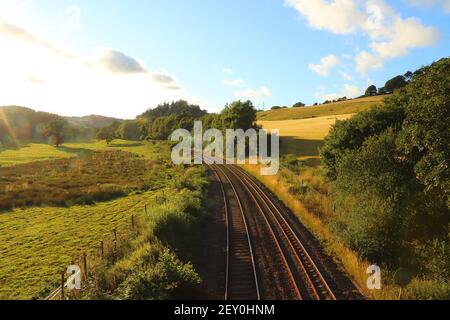 Campi di mais all'interno del Restormel Manor Grounds Foto Stock