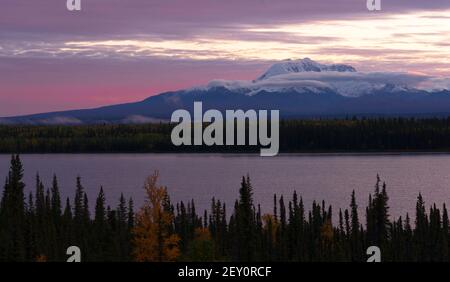 Willow lago a sud-est di Alaska Wrangell St. Elias National Park Foto Stock