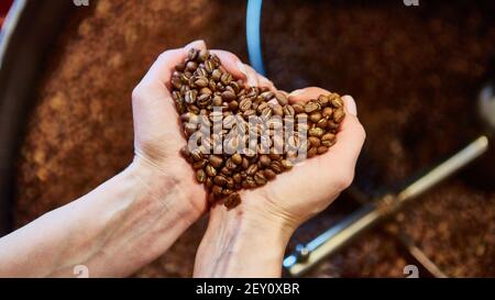 Vista ravvicinata dei chicchi di caffè tostati in mano Foto Stock