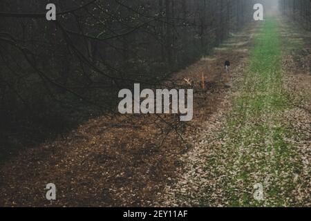 Moody Times a Colonia in germania Foto Stock