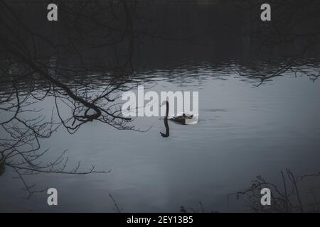 Moody Times a Colonia in germania Foto Stock