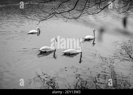 Moody Times a Colonia in germania Foto Stock