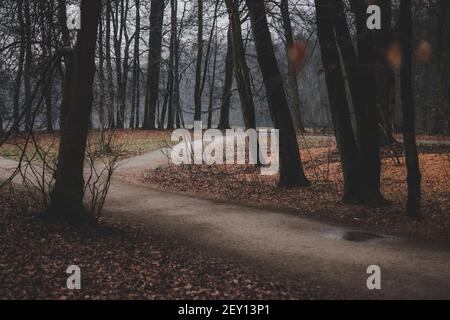 Moody Times a Colonia in germania Foto Stock