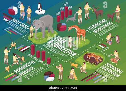 Operatori zoo isometrici composizione orizzontale del diagramma di flusso con testo delle icone infografiche e immagini di persone e animali vettore di estrazione Illustrazione Vettoriale