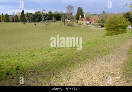 Loose Village, Kent, Regno Unito. 2 cavalli che pascolano in un paddock accanto ad una casa di oast convertita. Foto Stock