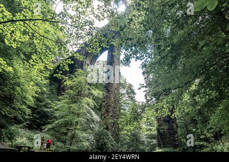 Riserva naturale di Healey Dell - riserva naturale a Whitworth , Lancashire a nord di Rochdale. Foto Stock