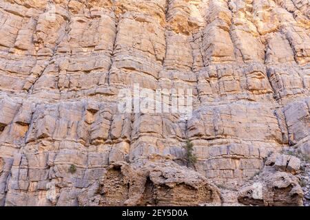 Roccia calcarea verticale nella catena montuosa Jebel Jais, Monti Hajar, Emirati Arabi Uniti. Foto Stock