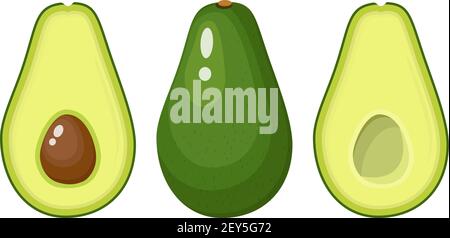 set di avocado intero e affettato Illustrazione Vettoriale