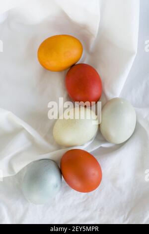 Uova di Pasqua colorate in modo naturale in un layflat Foto Stock