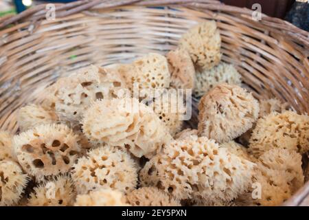 Spugna naturale greca in un cesto Foto Stock