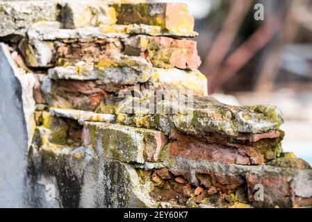 Un colpo di closeup di un vecchio muro di mattoni semi-distrutto in parte coperto di muschio giallo e sporcizia sotto la luce del sole Foto Stock