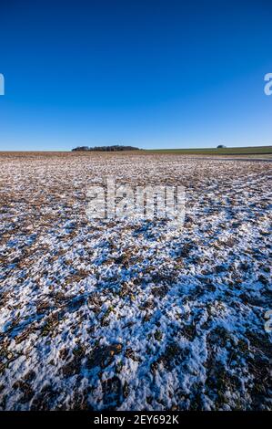 Cieli blu sopra la neve pezzosa sui campi dell'Hampshire, Inghilterra. Foto Stock