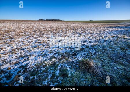 Cieli blu sopra la neve pezzosa sui campi dell'Hampshire, Inghilterra. Foto Stock