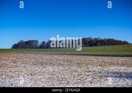 Cieli blu sopra la neve pezzosa sui campi dell'Hampshire, Inghilterra. Foto Stock