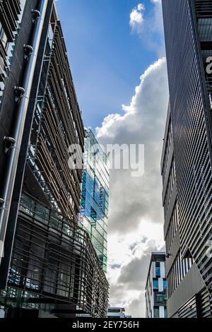 AUCKLAND, NUOVA ZELANDA - Mar 07, 2018: Foto della città di Auckland in Nuova Zelanda durante una soleggiata giornata estiva Foto Stock