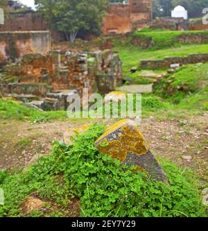 Chellah in marocco africa la vecchia sfocatura romana Foto Stock