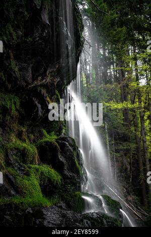 Una piccola cascata in un luogo nascosto nel verde nero Foto Stock