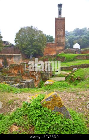 Chellah in marocco africa la vecchia sfocatura romana Foto Stock