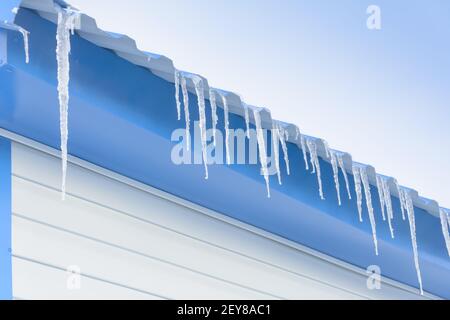 Grandi icicles appendono dal tetto della casa in inverno. Primo piano, messa a fuoco selettiva. Foto Stock