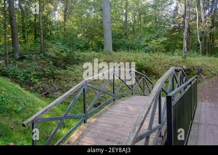 Ponte ad arco in legno sul torrente per pedoni in foresta tra grandi alberi. Foto Stock