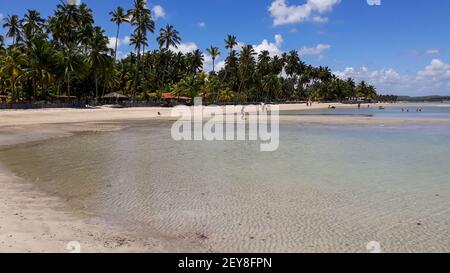 PERNAMBUCO, BRASILE - Feb 14, 2021: Spiaggia Carneiros a Pernambuco, Brasile. Spiaggia paradisiaca con cielo blu e acqua cristallina Foto Stock