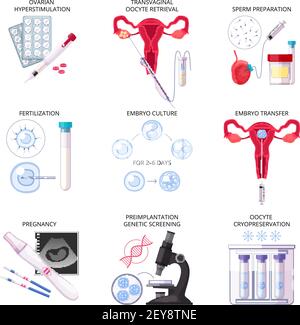 Set di icone IVF per fertilizzazione in vitro piatta e isolata con fertilizzazione gravidanza trasferimento di colture embrionali e altre descrizioni illustrazione vettoriale Illustrazione Vettoriale