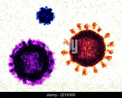Norovirus, coronavirus e virus influenzale, illustrazione Foto Stock