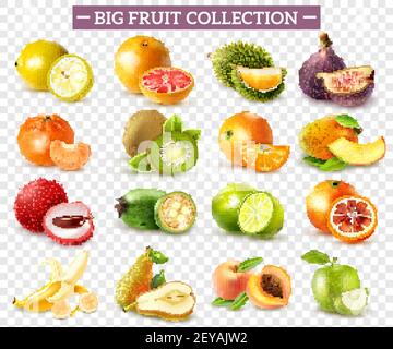 Set realistico di vari tipi di frutta con kiwi arancio pera limone lime mela isolato su sfondo trasparente illustrazione vettoriale Illustrazione Vettoriale