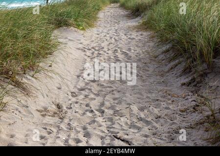 Le impronte dei piedi segnano un sentiero sabbioso che corre lungo l'Oceano Atlantico sull'isola di Hutchinson vicino a Jensen Beach, Florida, Stati Uniti. Foto Stock