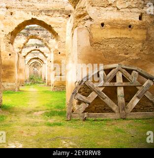 Antico granaio marocchino nel verde erba e arco muro Foto Stock