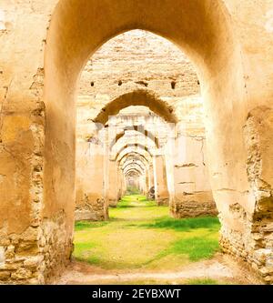 Antico granaio marocchino nel verde erba e arco muro Foto Stock