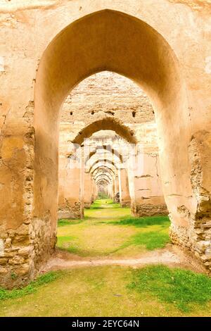 Granaio marocchino nella parete ad arco Foto Stock