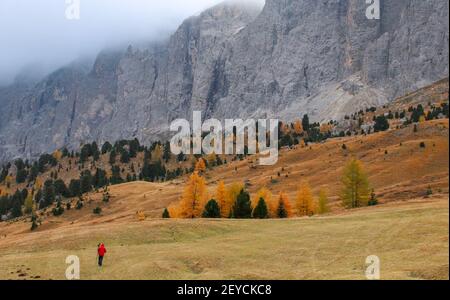 Cime montuose di Langkofel o Saslonch, catena montuosa delle dolomiti ricoperta di nebbia durante l'alba. Foto Stock