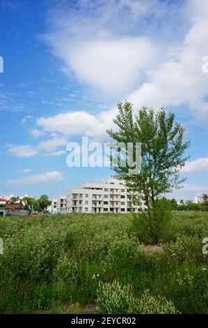 POZNAN, POLONIA - 09 luglio 2017: Erba verde con edificio di appartamenti sullo sfondo nel parco Rataje. Foto Stock