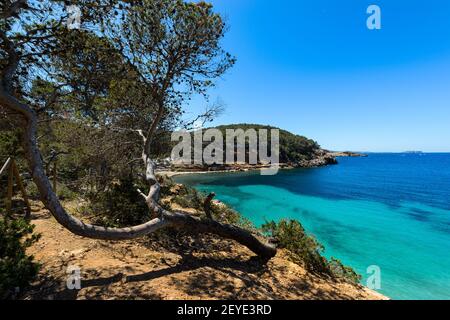 Ibiza, Spagna - 2 maggio 2016: Cala Salada e Cala Saladeta due spiagge nel comune di San Antonio sull'isola di Ibiza. Con poco costrutto Foto Stock