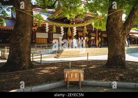 Coppia sposata albero di canfora a meiji jingu, tokyo, giappone Foto Stock