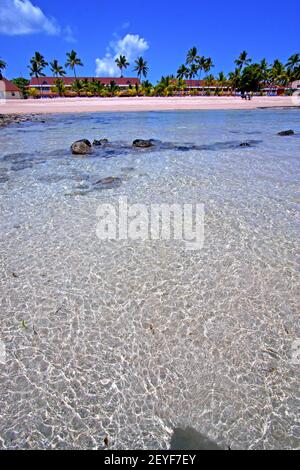 Bellissima andilana spiaggia alghe in casa indiana Foto Stock