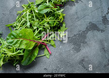 Mix di foglie di insalata, bietole svizzere e set di Arugula, su sfondo grigio in pietra, con spazio per la copia del testo Foto Stock
