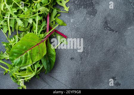 Rucola raab e Mangold, bietole svizzere, su sfondo grigio in pietra, vista dall'alto in piano, con spazio per la copia del testo Foto Stock