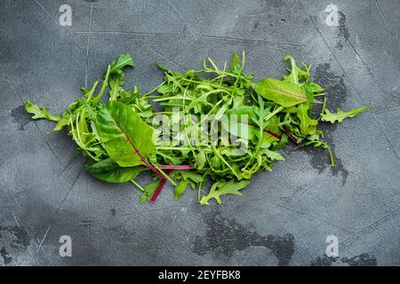 Mix foglie di insalata, bietole svizzere e set di Arugula, su sfondo grigio in pietra, vista dall'alto piatto Foto Stock