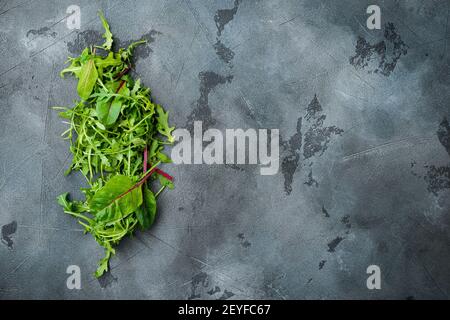 Insalata verde di erbe con rucola e mandoro, set bietole svizzere, su sfondo grigio in pietra, vista dall'alto in piano, con spazio per la copia del testo Foto Stock
