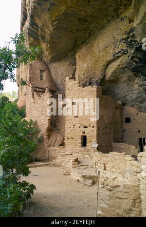 Palazzo della scogliera nel Parco Nazionale di Mesa Verde, rovine di un Pueblo Anasazi, Sito Patrimonio dell'Umanità dell'UNESCO, orientamento verticale Foto Stock