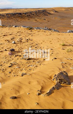 Vecchio fossile nel cielo di pietra Foto Stock